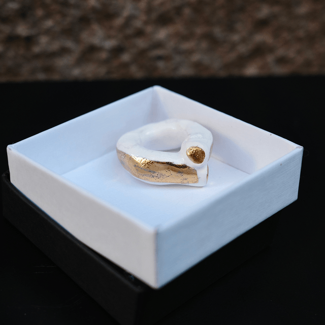 Ceramic ring 