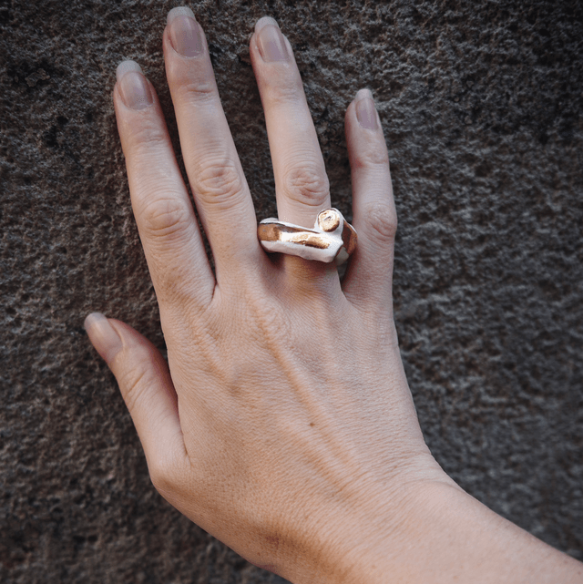 Ceramic ring 