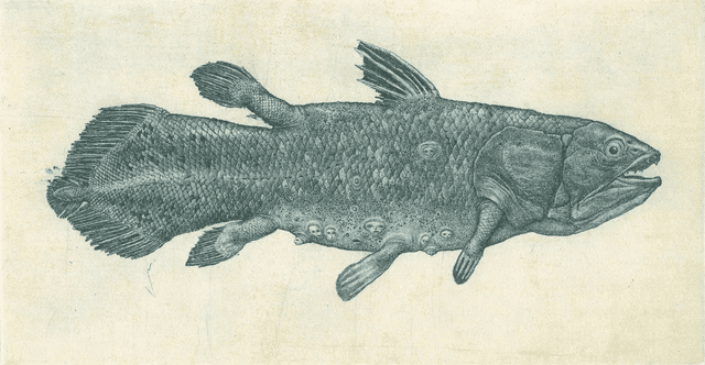 Konstantin Antioukhin &quot;Latimeria Fish&quot; 